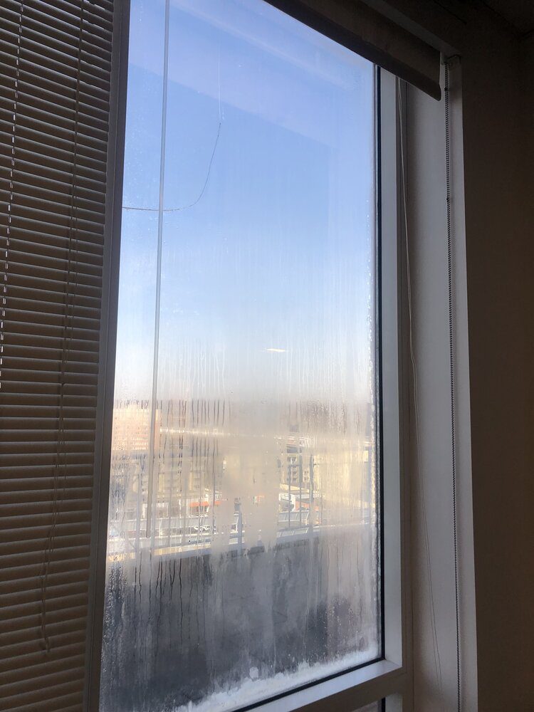 Window Glass Replace1